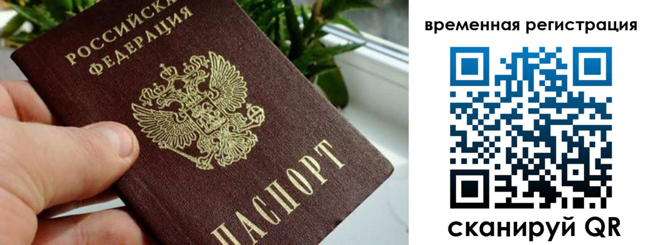 прописка поиск в Окуловке